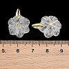 Natural Quartz Crystal Pendants GG-NH0016-01G-06-3