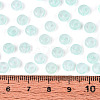 Glass Seed Beads SEED-T007-17L-4