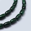 Natural Malachite Beads Strands G-F571-20-3