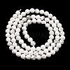 Natural Howlite Beads Strands G-E608-A01-C-3
