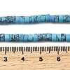 Dyed Synthetic Turquoise Beads Strands G-Z089-A04-Q-6