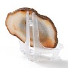 Printed Natural Agate Slice Stone Ornament DJEW-M011-02E-3