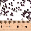 Glass Seed Beads X-SEED-S042-04B-30-4