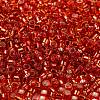 Glass Seed Beads X1-SEED-S042-04A-10-3