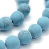 Synthetic Turquoise Beads Strands G-P387-01-10mm-3