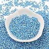 Baking Paint Glass Seed Beads X-SEED-S042-15B-28-2