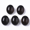 Translucent Glass Cabochons X-GLAA-T023-02B-2
