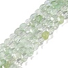 Watermelon Stone Glass Beads Strands G-K362-F01-01-1