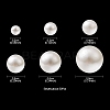 300Pcs 6 Sizes ABS Plastic Imitation Pearl Round Beads MACR-YW0002-67-3