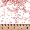 12/0 Glass Seed Beads SEED-S005-20-4