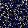 Glass Seed Beads SEED-A032-06L-3