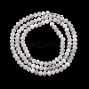 Natural Rainbow Moonstone Beads Strands G-G139-B23-01-3