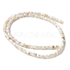 Natural Freshwater Shell Beads Strands X-SSHEL-C013-04A-2