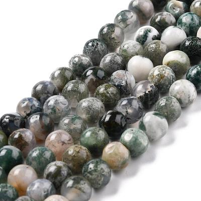 Natural Tree Agate Beads Strands G-I199-03-8mm-1