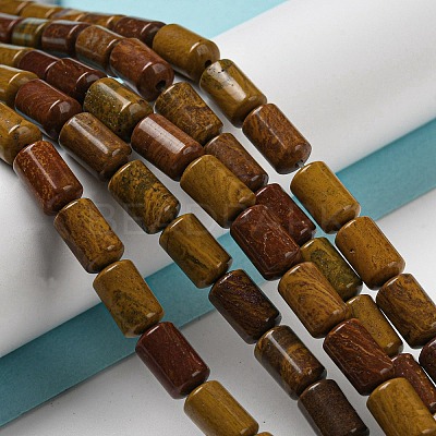 Natural Petrified Wood Beads Strands G-M420-E06-03-1