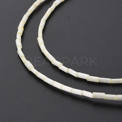 Glass Silk Stain Style Beads Strands GLAA-N047-001B-02-1