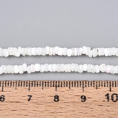 Natural Trochid Shell/Trochus Shell Beads Strands SSHEL-N040-21H-1