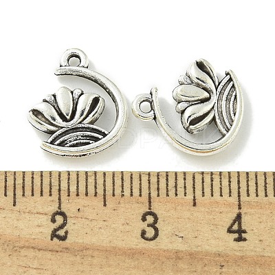 Tibetan Style Alloy Pendants TIBE-I026-6025AS-1