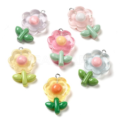 Translucent Resin Pendants CRES-M030-02-1