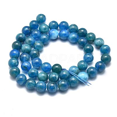 Natural Apatite Beads Strands G-O186-E02-8mm-1