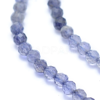Natural Iolite Beads Strands G-I279-E08-1