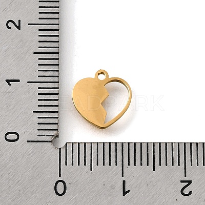 304 Stainless Steel Charms STAS-S178-02G-1
