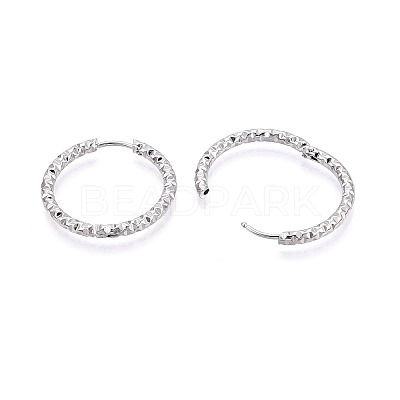 304 Stainless Steel Hoop Earrings STAS-T074-19P-1