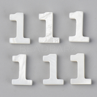 Natural Freshwater Shell Beads X-SSHEL-R048-005-01-1