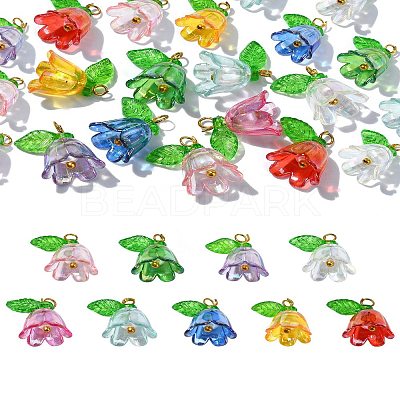 Acrylic Pendant PALLOY-YW027-01-1