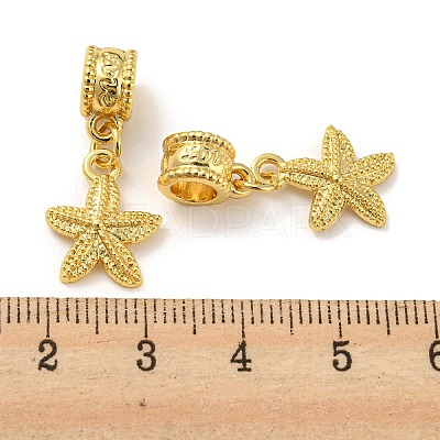 Tibetan Style Alloy European Dangle Charms PALLOY-F199-41G-1