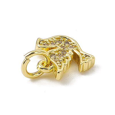 Brass Micro Pave Cubic Zirconia Charms ZIRC-F132-29G-1