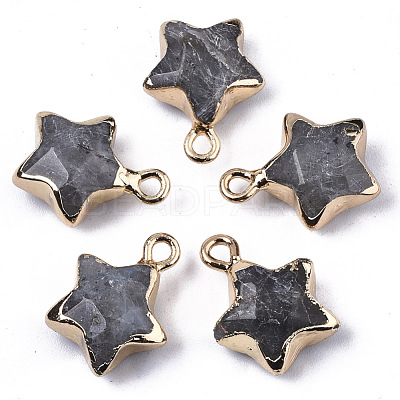Natural Labradorite Pendants X-G-N326-36B-1