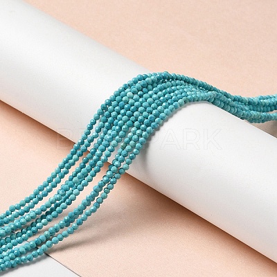 Natural Howlite Beads Strands G-C025-02A-01-1