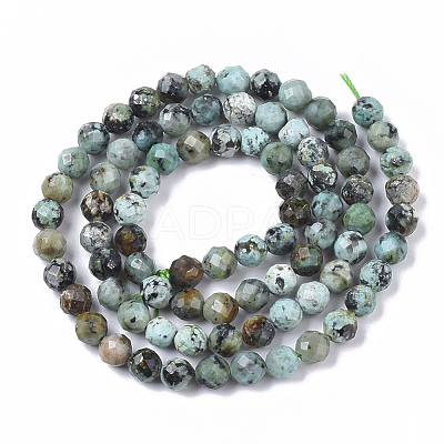 Natural African Turquoise(Jasper) Beads Strands G-S361-5mm-002-1