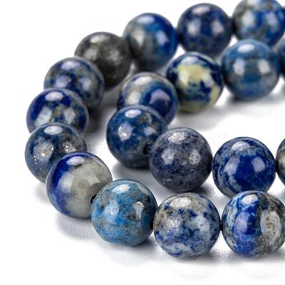 Natural Lapis Lazuli Bead Strands G-G953-02-8mm-1