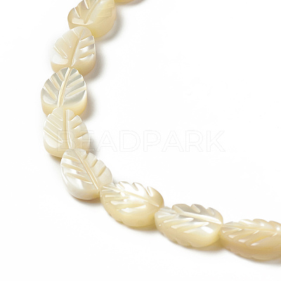 Natural Trochid Shell/Trochus Shell Beads Strands SHEL-F004-14-1