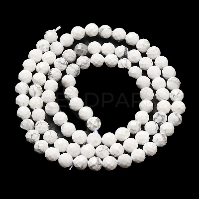 Natural Howlite Beads Strands G-E608-A01-C-1