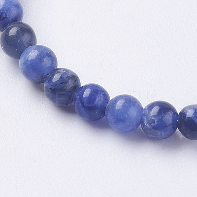 Natural Sodalite Beads Strands G-G515-4mm-07-1