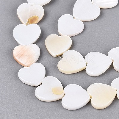 Natural Freshwater Shell Beads Strands SHEL-S276-87-1