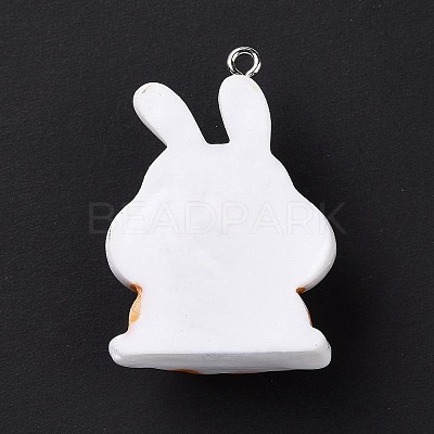 Halloween Opaque Resin Pendants RESI-D063-07A-1