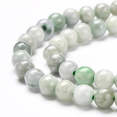 Natural Jadeite Beads Strands G-L568-001D-1