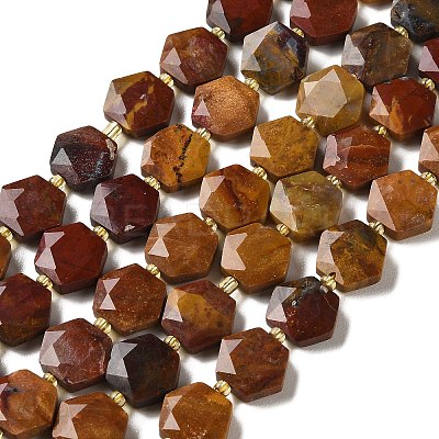 Natural Petrified Wood Beads Strands G-H344-B03-01-1