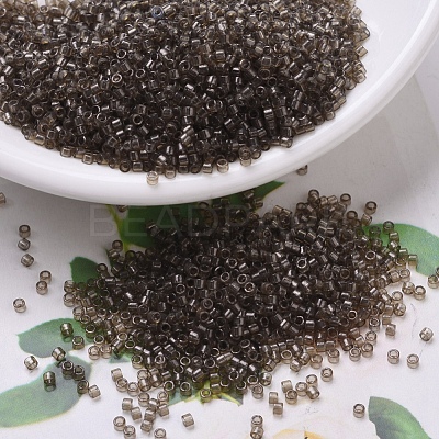 MIYUKI Delica Beads Small SEED-X0054-DBS0123-1