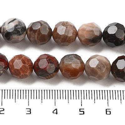 Natural Petrified Wood Beads Strands G-C150-B01-02-1
