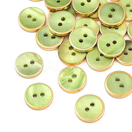 Golden Edge Naturl Black Lip Shell Button SH-CBA0ED6-01C-1