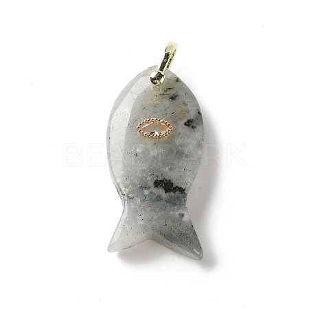 Natural Labradorite Pendants G-Z102-02G-05-1