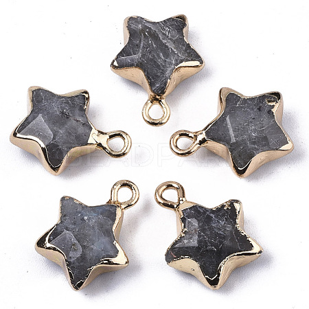 Natural Labradorite Pendants X-G-N326-36B-1