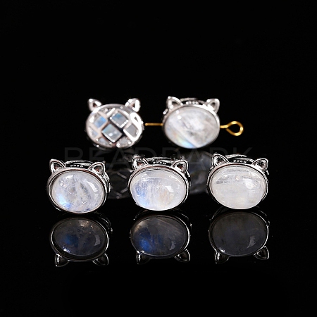 Natural Rainbow Moonstone Beads PW-WG2C262-07-1