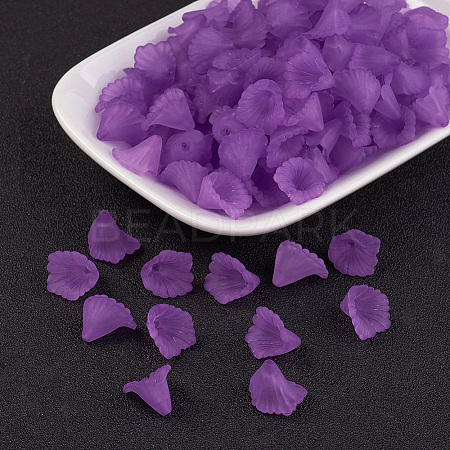 Transparent Acrylic Beads PL622-C17-1