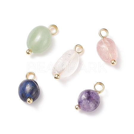 Natural Mixed Stone Charms PALLOY-JF01783-01-1